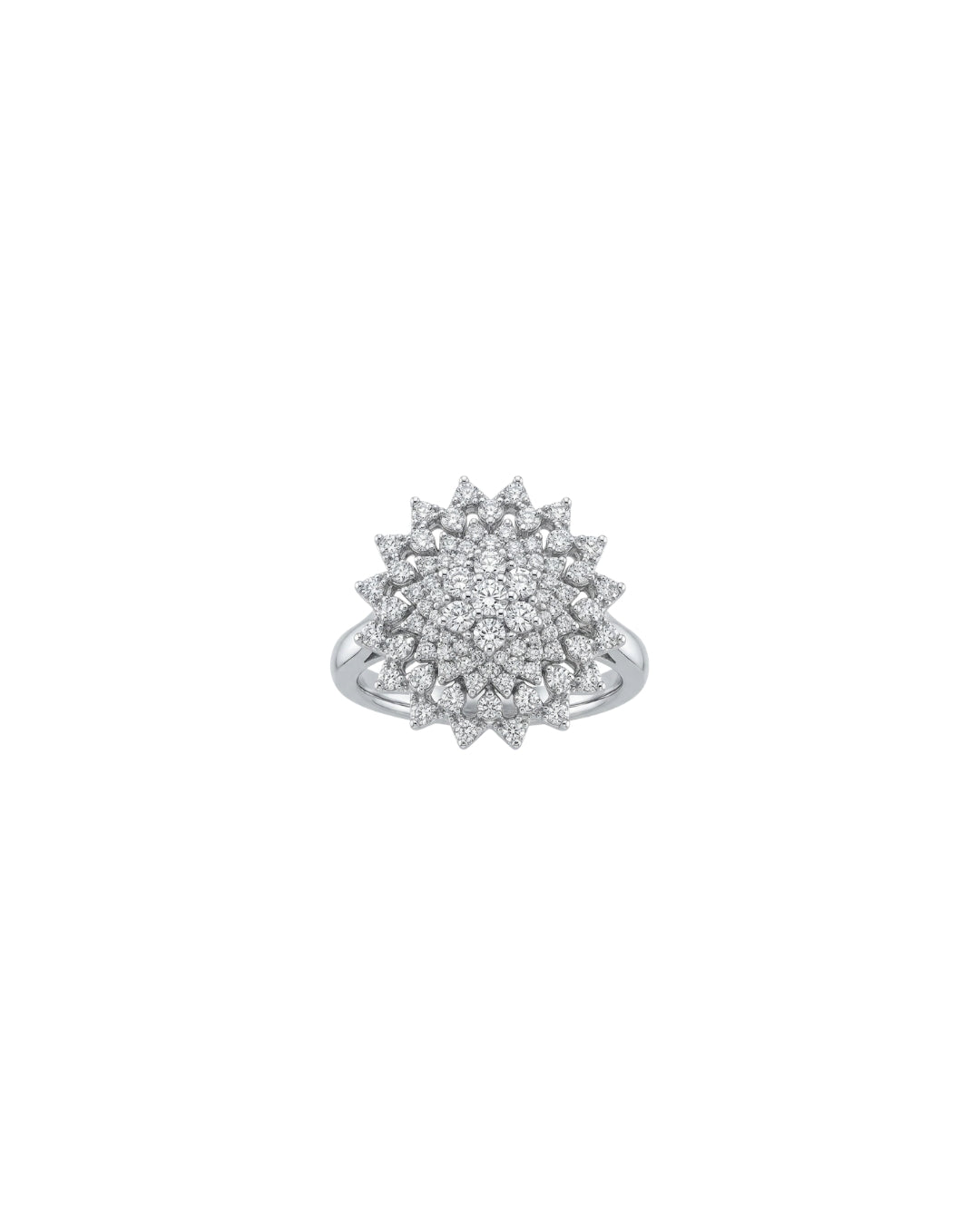 Anel Redondo Diamantes em Ouro Branco 18K